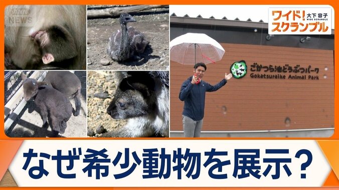 三重に希少動物の宝庫　「小さな動物園」再生物語　園長は野生動物飼育スペシャリスト 1枚目
