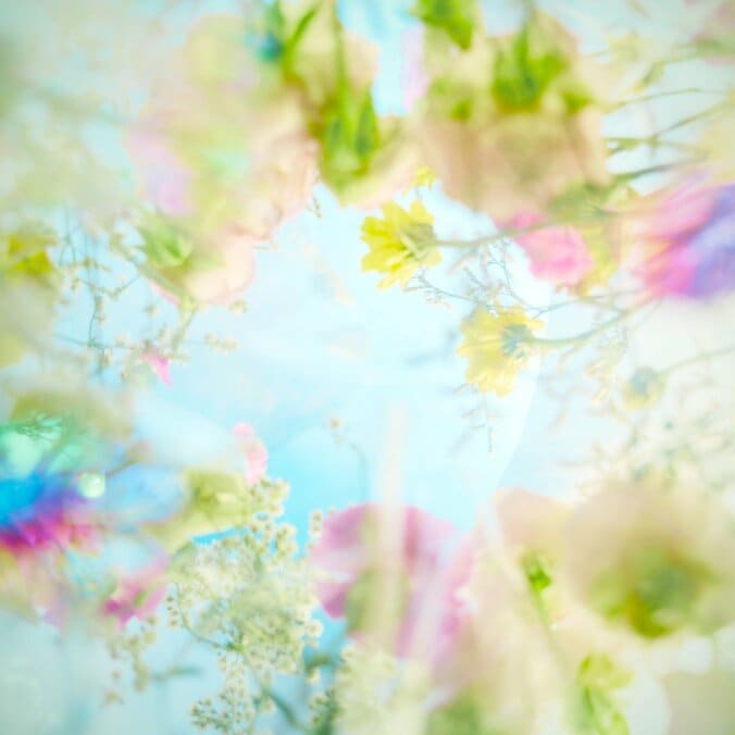 【写真・画像】　2枚目