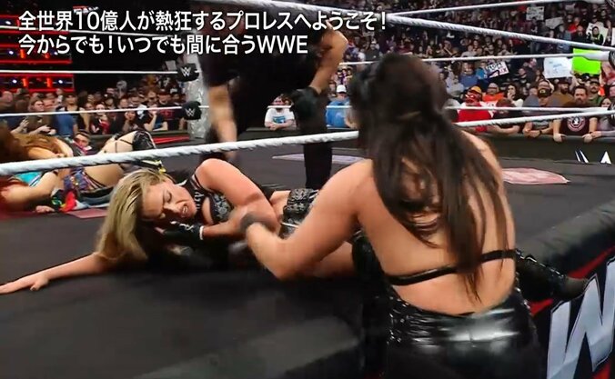 【写真・画像】　1枚目