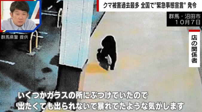 スーパー店内に出没したクマ