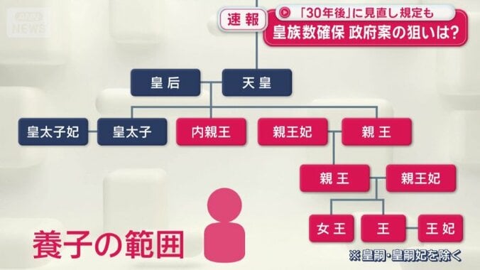 養子の範囲