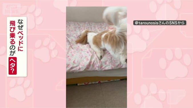 なぜヘタなの？
