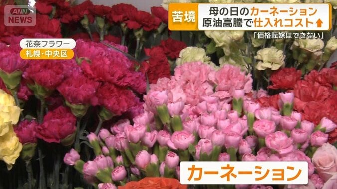「母の日」のカーネーションにも中東情勢の暗い影　原油高騰で仕入れコストアップ 1枚目