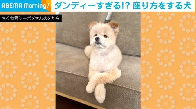 ちくわくん