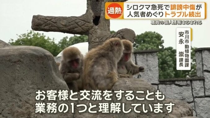 園側は対応に苦慮