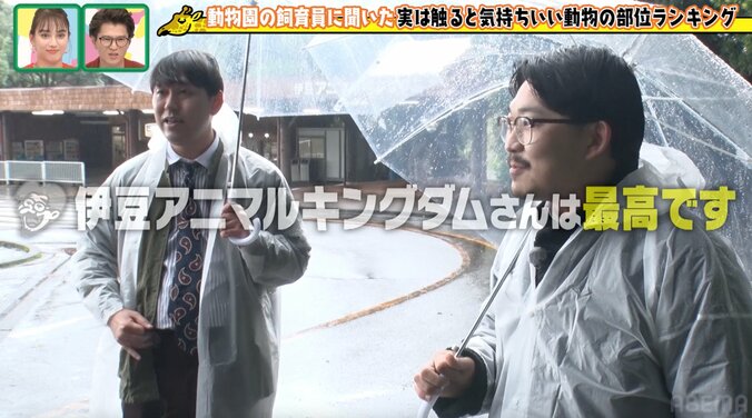 オズワルド伊藤、40分遅刻で雨の動物園ロケ「仕事した感じがしない」と不完全燃焼 10枚目