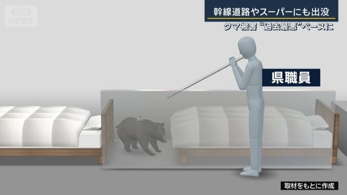 体長80センチほどのクマ