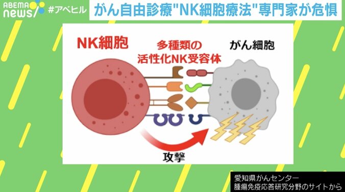 NK細胞ががんを排除する仕組み