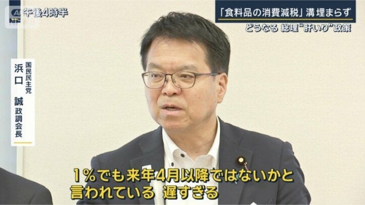 国民民主党　浜口誠政調会長