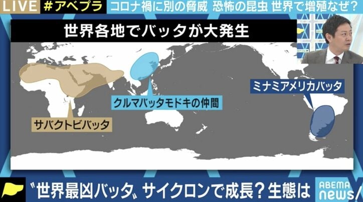 コロナ禍で防除に苦慮…世界でバッタが大量発生、過去のケースでは最長15年間も