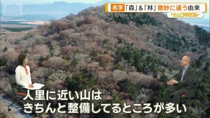 森より林の方が多い理由