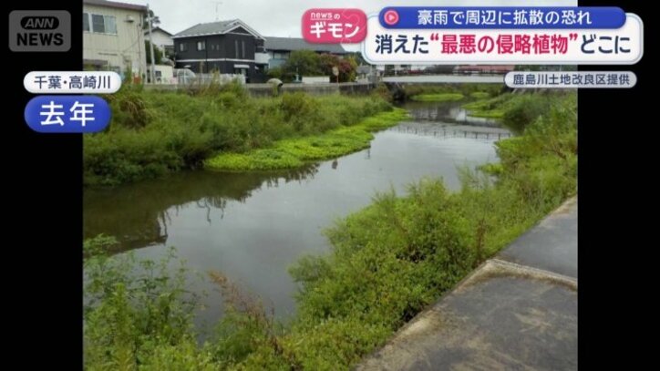 去年　千葉・高崎川