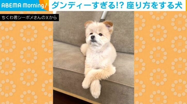 ちくわくん