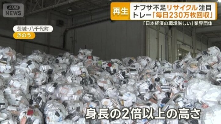 中に入っているのはトレー