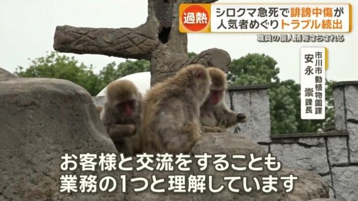 園側は対応に苦慮