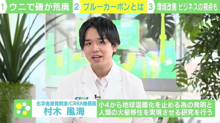 磯焼けを起こす“駆除ウニ”を立派な食用に ウニノミクスが目指す環境改善×ビジネス これからは「ゴミ=資源」の視点が必要に?