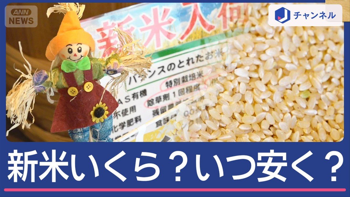 今年の「新米」続々店頭に！いくら？いつ安く？コメのプロ分析