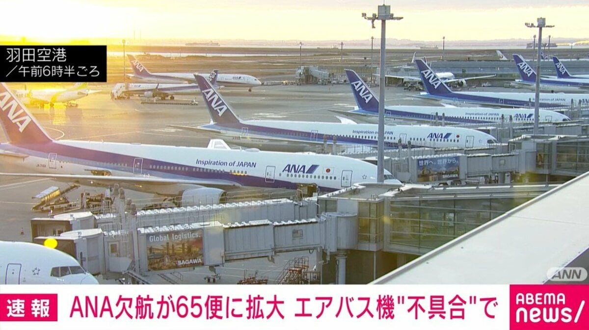 ANA欠航が65便に拡大 エアバス機“不具合”で | 国内 | ABEMA TIMES
