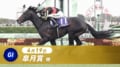 皐月賞2026完全ガイド｜有力馬・視聴方法・コース傾向
