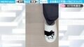 猫好き必見！左右揃えて一つの“ねこスリッパ”に「やばい！これはかわいい」「欲しいなぁ～」と絶賛の声