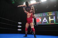 【映像】パワーと技の激突