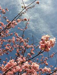 古村比呂『子宮頸がんと１０年と（２７)』