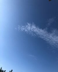 蛯原英里『ありがとうございます』