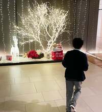 市川團十郎白猿『帰ったら！うわー！すごーーい！』