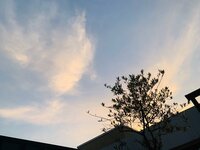 石田あゆみ『早起きは三文の徳』