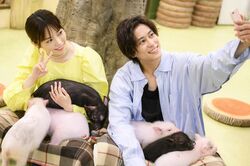 島崎遥香「今までで一番お互いが楽しめた」佐野岳とのミニブタカフェデートで心開く『私たち結婚しました3』第4話