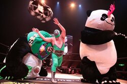 全国生中継中に選手の携帯番号公開！パンダvsメカパンダ！　両国大会も攻めまくったDDT、来夏に全席無料のビッグマッチ開催へ