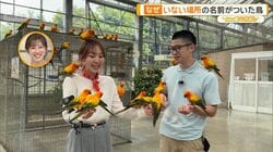 強烈キック、倒れているように寝る…個性派ぞろいの掛川花鳥園　“行き倒れる鳥”も