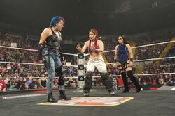 「友達だと思ってたのに」“仲良し日本人トリオ”崩壊…元気印女子レスラーの“ガン泣き”告白にファン悲痛