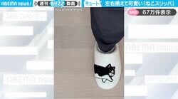 猫好き必見！左右揃えて一つの“ねこスリッパ”に「やばい！これはかわいい」「欲しいなぁ～」と絶賛の声