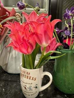 堀ちえみ、自宅玄関に飾られた花を披露「なんかキュンとする」