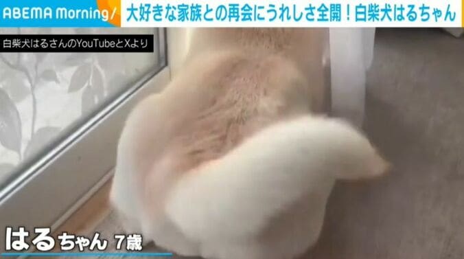 はるちゃん
