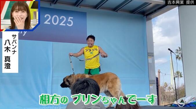 サバンナ・八木真澄