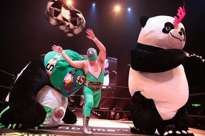 全国生中継中に選手の携帯番号公開！パンダvsメカパンダ！　両国大会も攻めまくったDDT、来夏に全席無料のビッグマッチ開催へ 1枚目