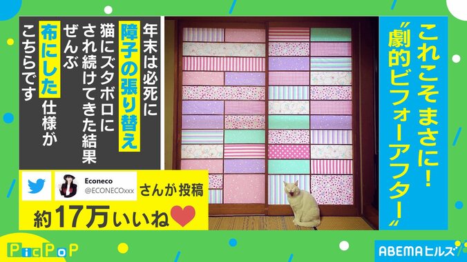 猫様はご立腹？ 障子紙を布に張り替えた結果…アートな作品に変身「すごくおしゃれ」「その手があったか」 1枚目