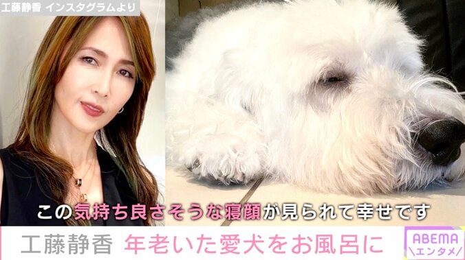 工藤静香、年老いた愛犬をお風呂に「なるべく負担を減らしたいから、大急ぎ！」「よく頑張ってくれました」 1枚目