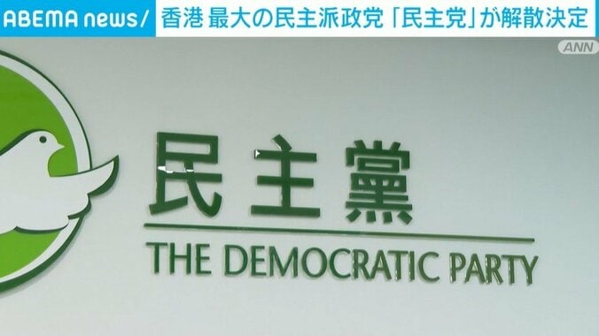 民主派政党「民主党」