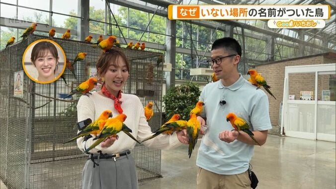 強烈キック、倒れているように寝る…個性派ぞろいの掛川花鳥園　“行き倒れる鳥”も 1枚目