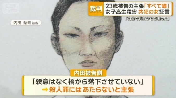 殺人罪にはあたらないと主張