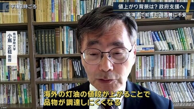 桃山学院大学　小嶌正稔教授