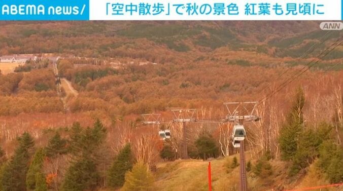 ゴンドラ