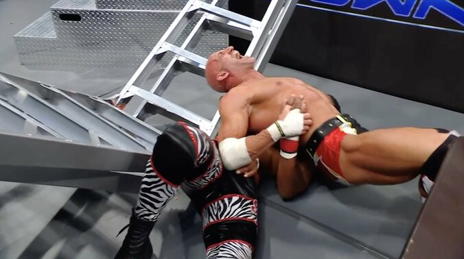 ハシゴは“ぐにゃり”と変形し、悶絶