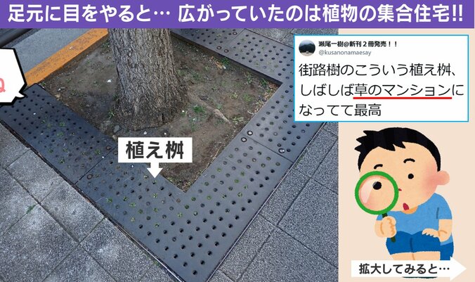 草のマンション