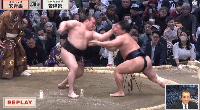 「まさか安青錦が」「前代未聞」執念の“一撃”にファン騒然「推しを…」容赦ない攻め 2枚目