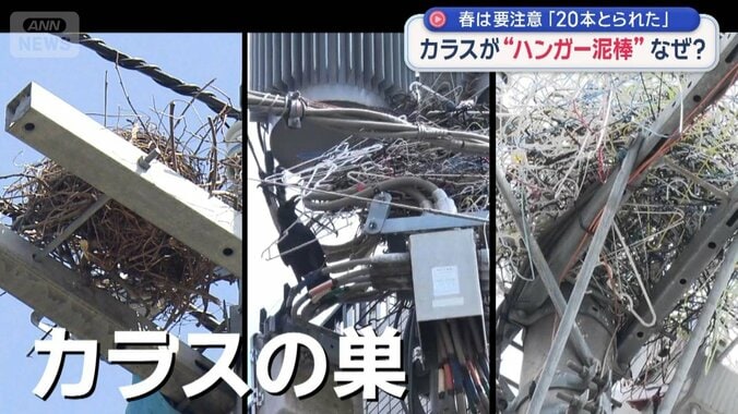 “春カラス”の被害が多発　ハンガー狙うワケは？意外な対策も 1枚目