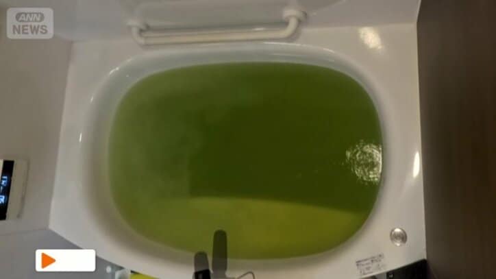 別のお宅でも、みるみるうちにお湯が緑色に